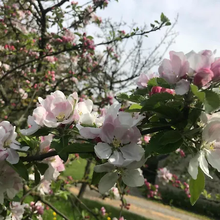 Feriehus Normandia Du Lieu Foison
