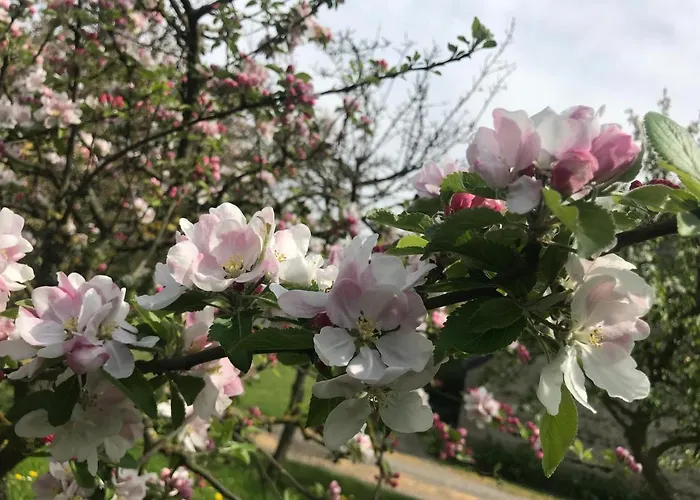 Feriehus Normandia Du Lieu Foison